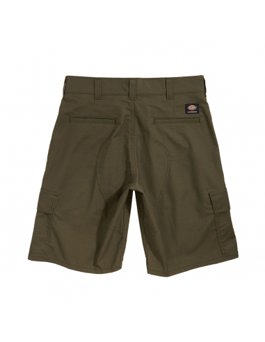 Dickies Skateboarding Regular Fit Cargo Shorts - Moss Green Amélioration de cerveau avec